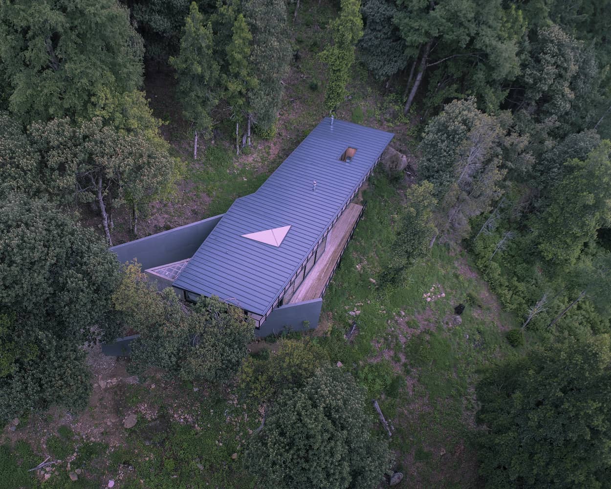 Casa moderna en el bosque